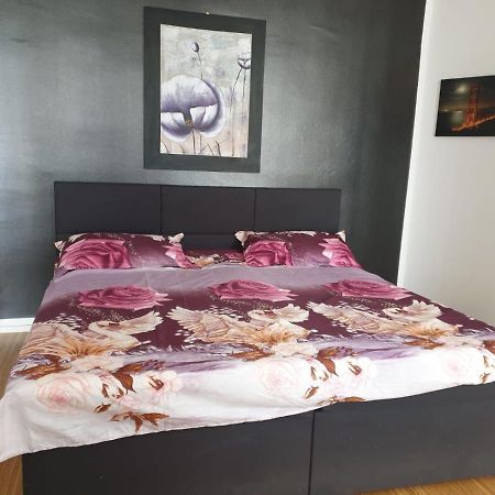 Meldemannstrasse Appartamento Vienna Esterno foto